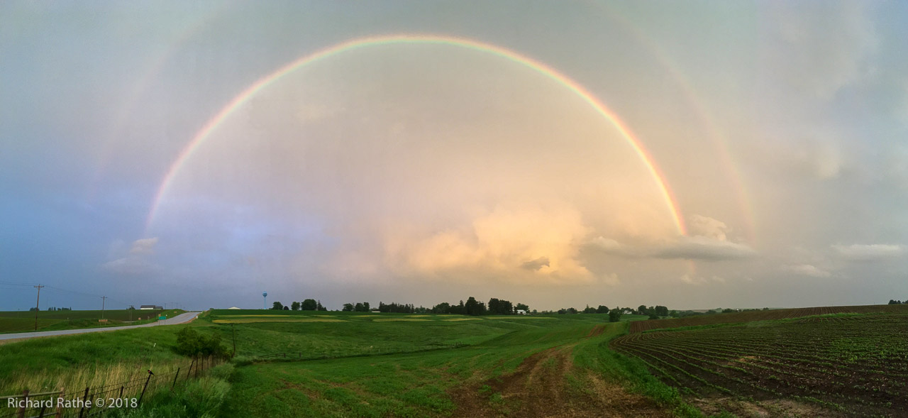 Wisconsin Rainbow