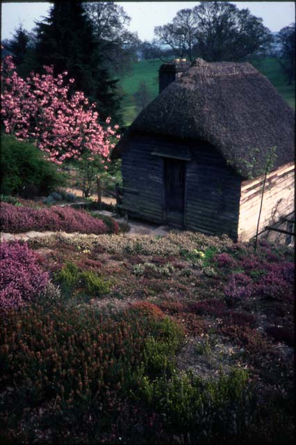 09-cottage-garden