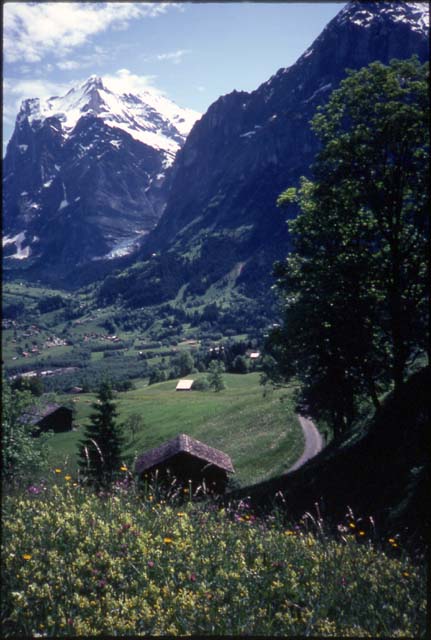 50-swiss-valley