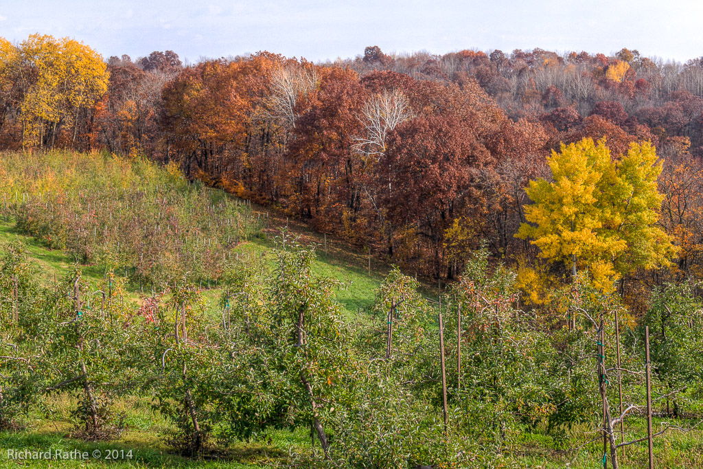 Apple Orchards Near Gays Mills