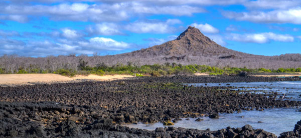 Galapagos Cerro Dragon