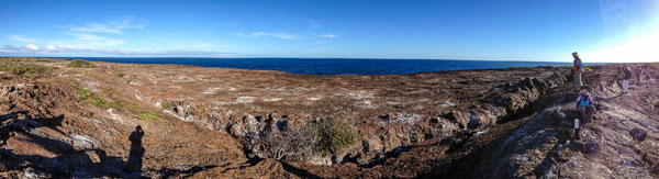 Galapagos Genovesa Island