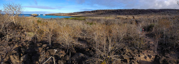 Galapagos Santa Fe Pano