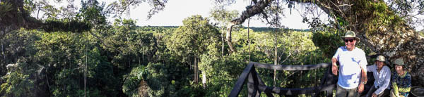 one-hundred-feet-up-in-kapok-tree