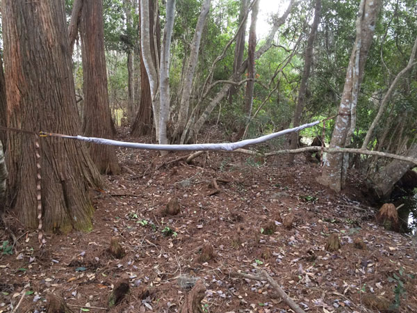 hammock-tent-covered