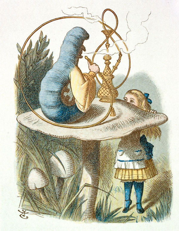 Alice and the Caterpillar