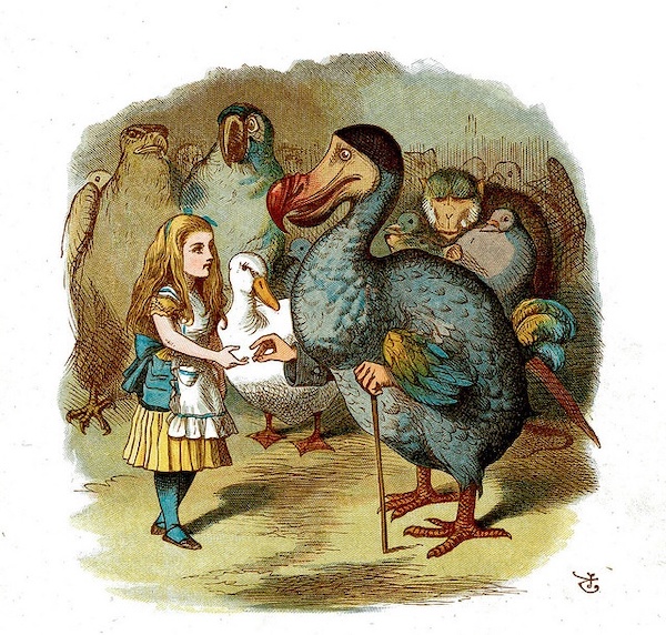 What is a Caucus-race?