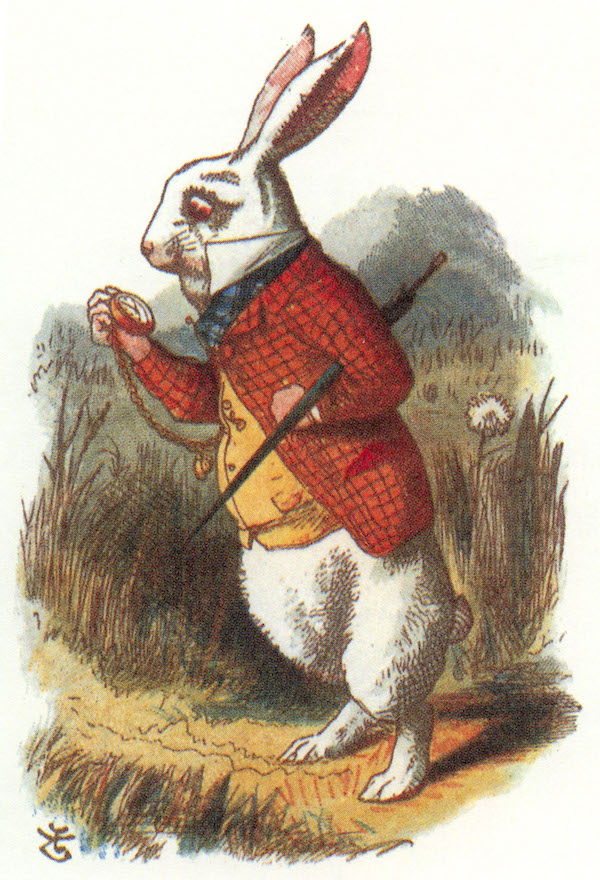 The White Rabbit