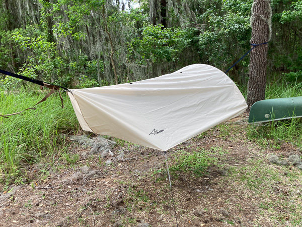 Staked Out Fly