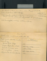 1013 Patent Medicine Labels Tilden Company 