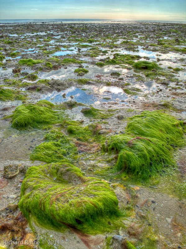 Day 2 - Rabbit Key - Tide Flats (HDR)