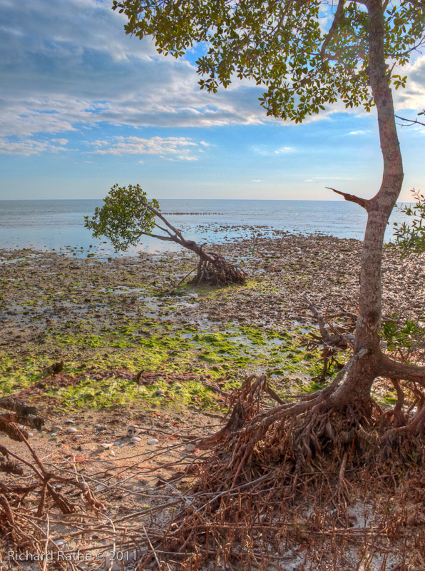 Day 2 - Rabbit Key - Tide Flats (HDR)