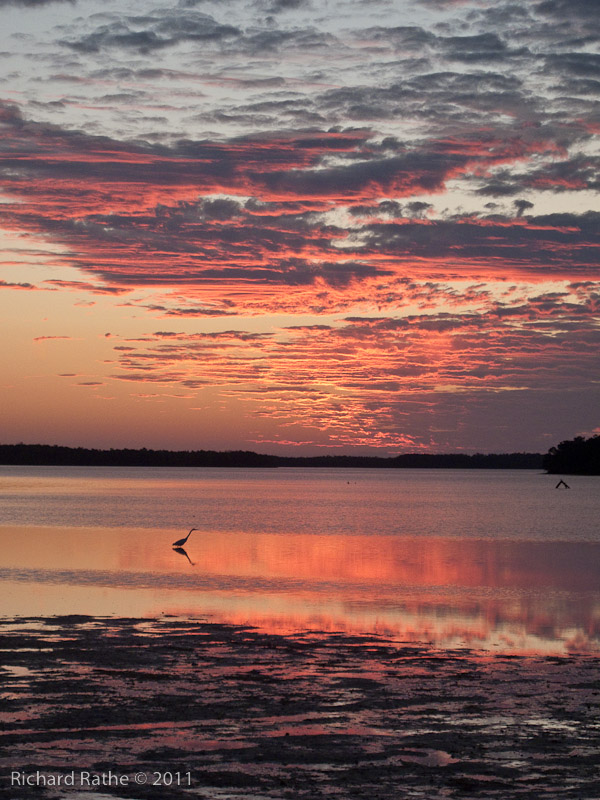 Day 3 - Rabbit Key - Sunrise with Egret