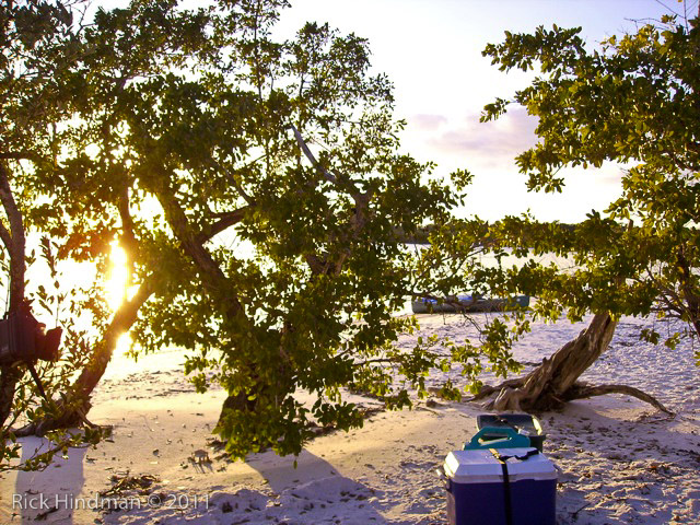 Day 1 - Picnic Key - Shady Kitchen