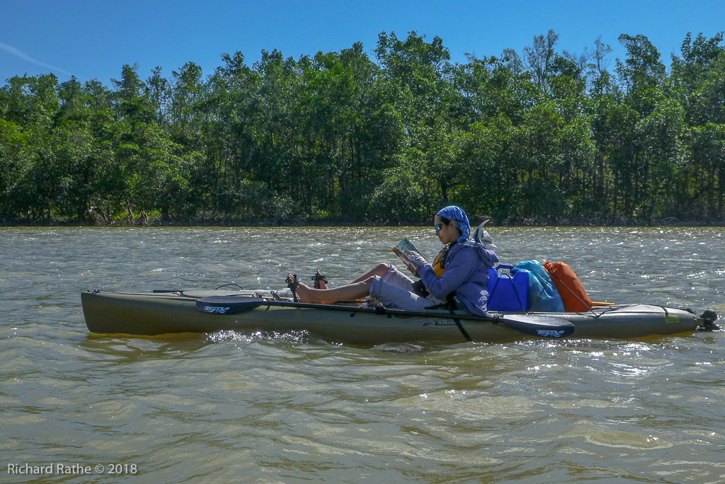 Shark River