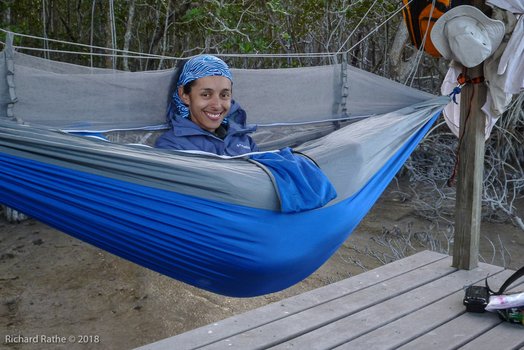 Joys of Hammock Camping on the Shark River Chickee