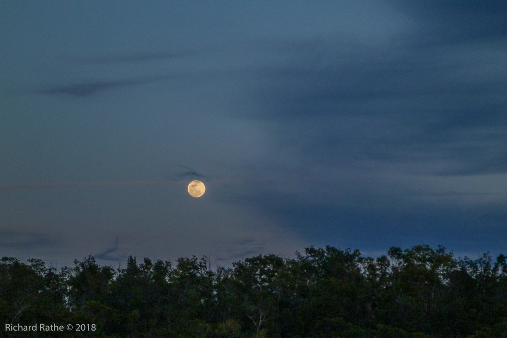 Full Moon Over Watson River Chickee