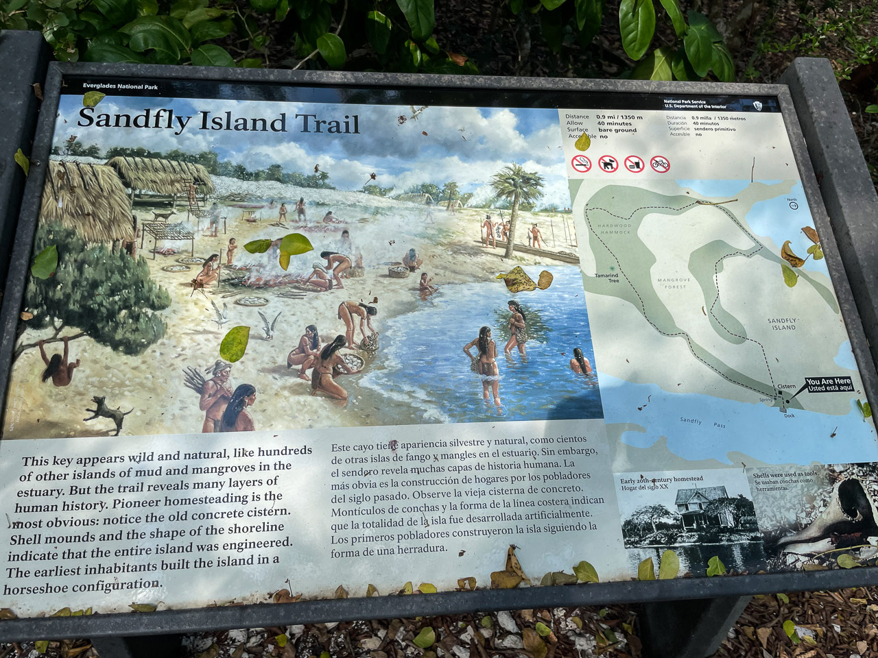 Sandfly Island