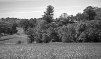 0020 Hdr Taliesin 2012 