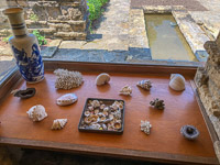0053 Taliesin 2023 