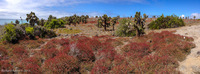 Panorama 034 Galapagos Panorama 