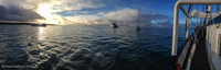 Panorama 043 Galapagos Panorama 