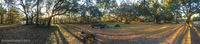 Panorama 154 Panorama 