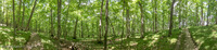 Panorama 209 Guttenberg 2016 Panorama 