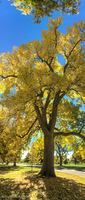 Panorama 228 Denver Panorama 