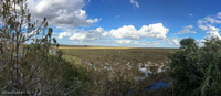Panorama 234 Everglades 2017 Diana Panorama Pre Post Kayak Sightseeing