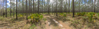 Panorama 236 Panhandle 2017 Panorama 
