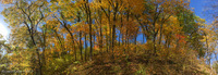 Panorama 269 Guttenberg 2017 Panorama 