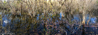 Panorama 276 Panorama South Florida 2018 