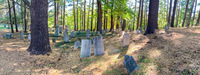 Panorama 537 Panorama Upstate New York 