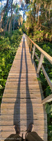 Panorama 561 Panorama 