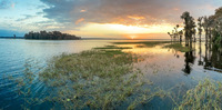 Panorama 597 Panorama 
