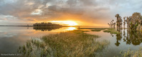 Panorama 600 Panorama 