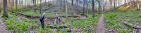 Panorama 743 Flagged Panorama Snake Road Richard