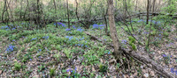 Panorama 744 Artistic Flagged Panorama Snake Road 