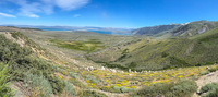 Panorama 809 California 2025 Mono Lake Panorama Dust Storm