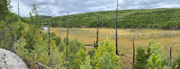 Panorama 830 Bwca 2025 Panorama 