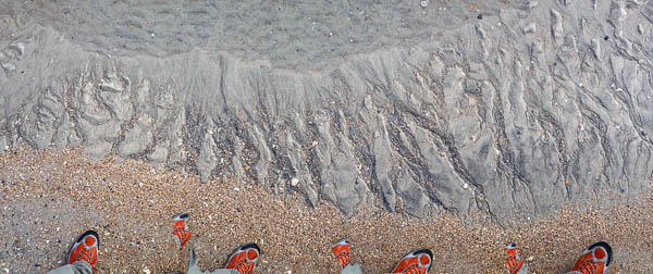 beach-panopainting