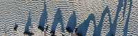 1023 Panopainting Panorama 