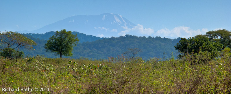 Mt. Kilimanjaro from Arusha Park