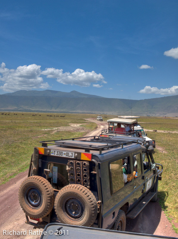 Wildlife Viewing from Jeeps in Ngorongoro Crater