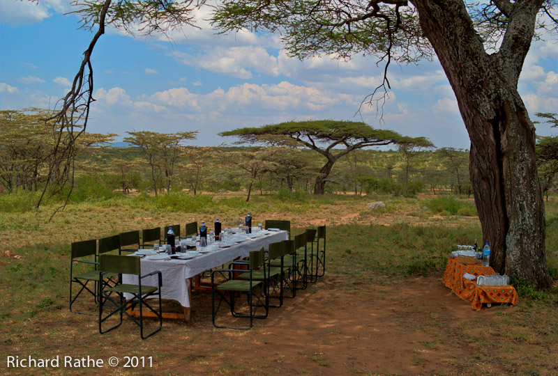 Lunch under an Acacia Tree