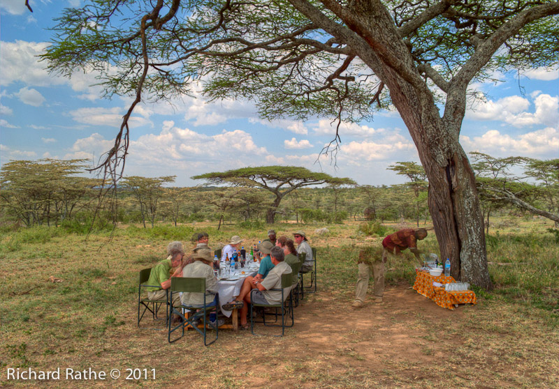 Lunch under an Acacia Tree