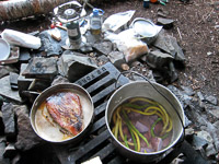 23 Bwca 2008 Camping Dinner