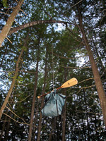 26 Bwca 2008 