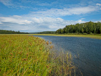 33 Bwca 2008 